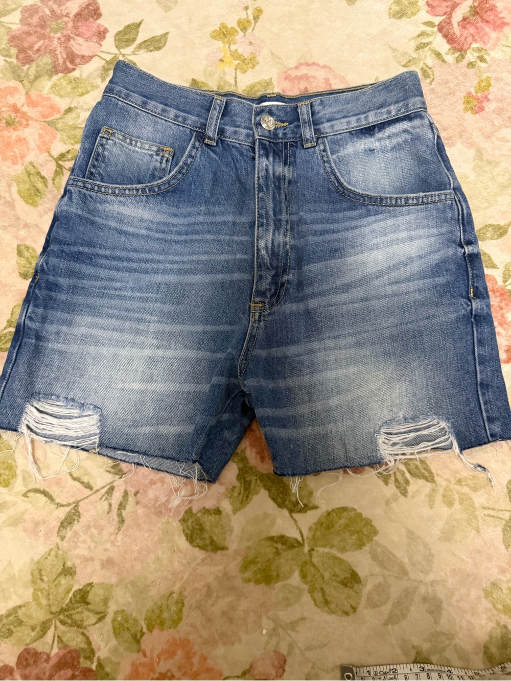 Anine Bing Denim Cut Off Shorts Size 25